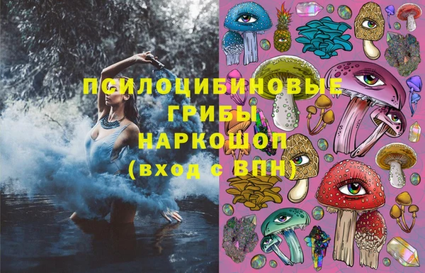 прущие крисы Бородино