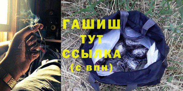 прущие крисы Бородино
