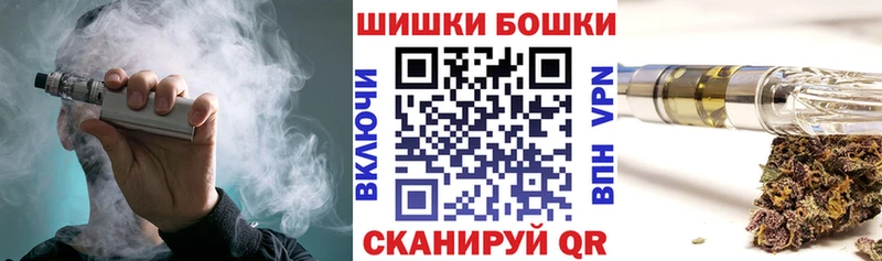 Канабис сатива купить наркоту Новодвинск